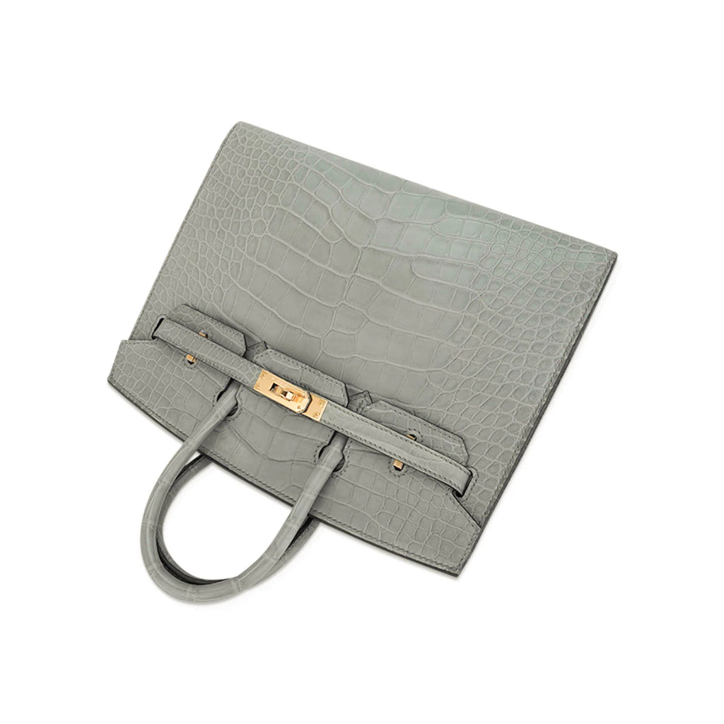 Birkin 25 Bag Gris Ciment Matte Alligator with Gold Hardware