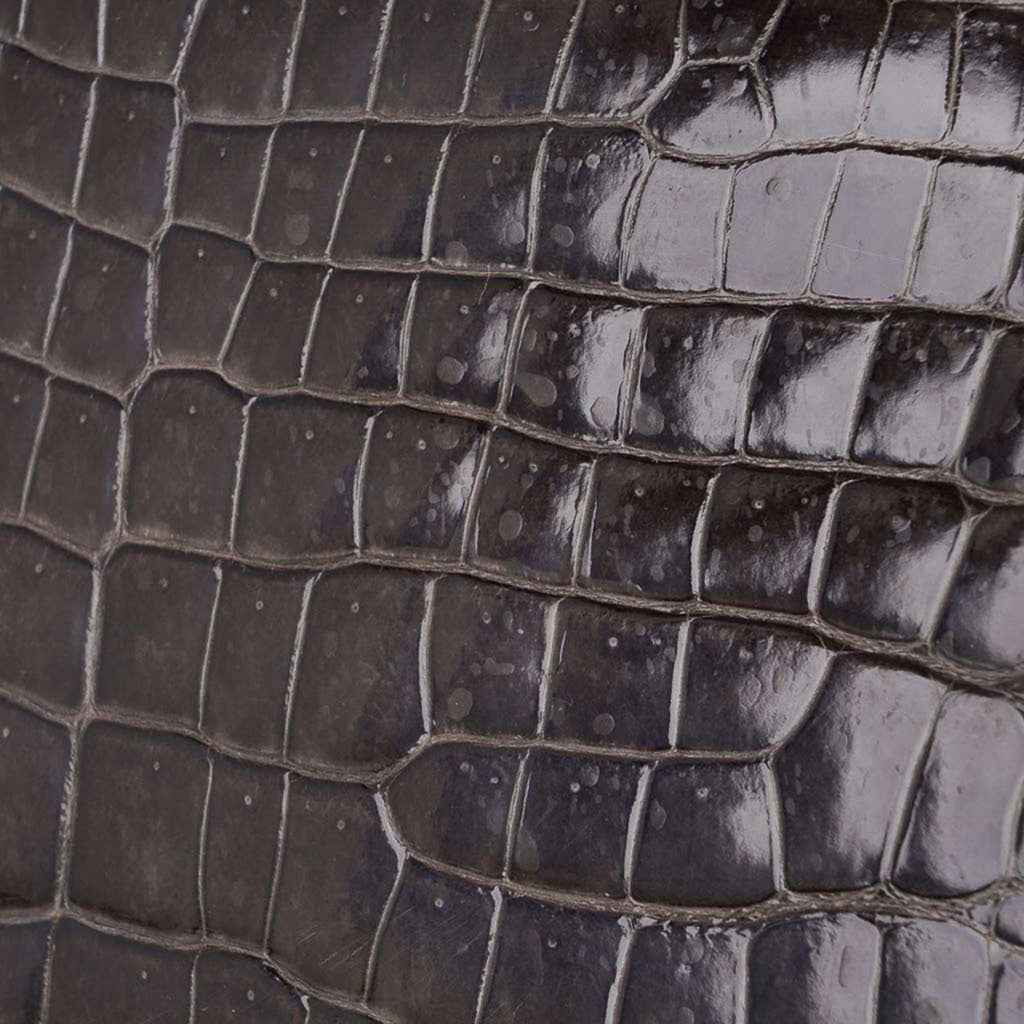 Special Order HSS Birkin 35 Bag Gris Fonce Porosus Crocodile with Palladium Hardware
