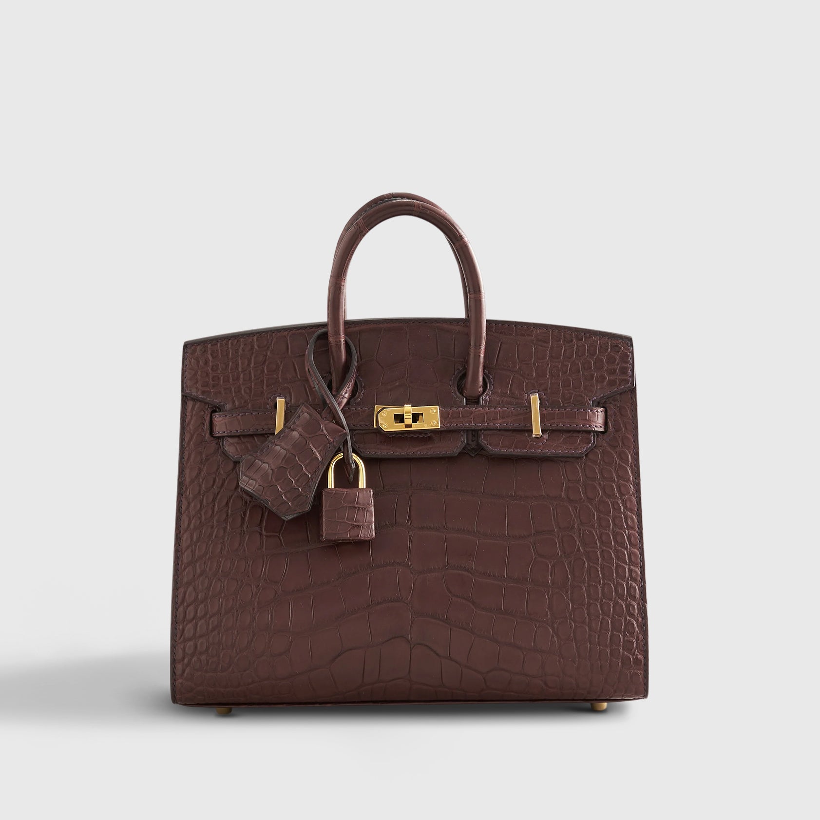 Birkin 20 Alligator Havane Gold Hardware Matte