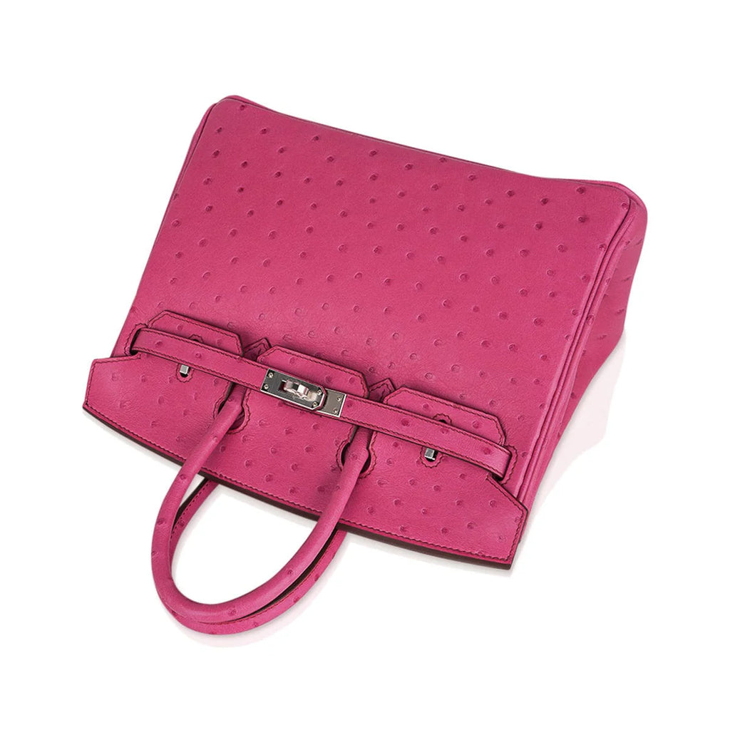 Birkin 25 Bag Fuchsia Ostrich with Palladium Hardware