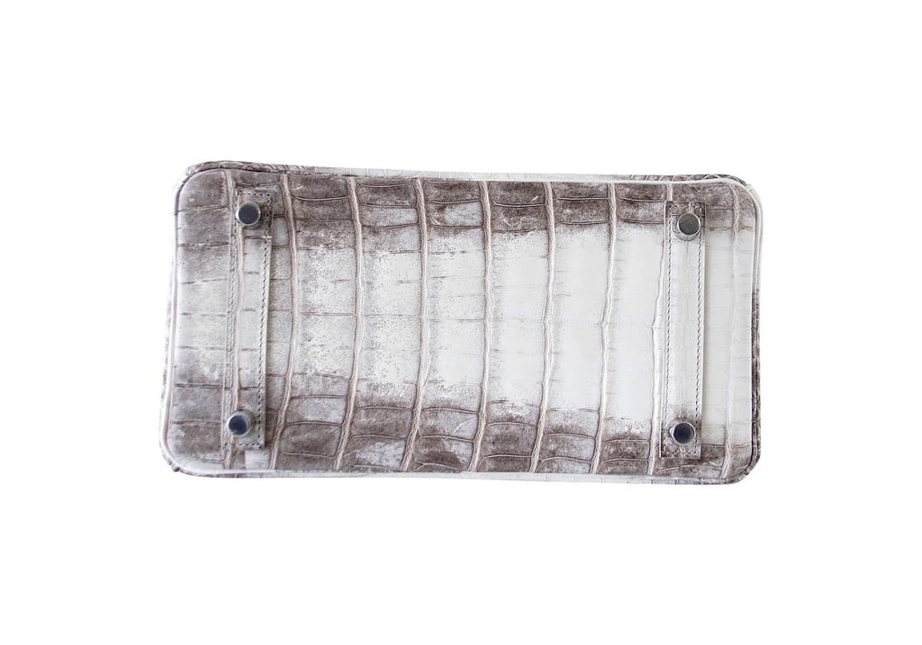 Birkin 25 Bag Blanc Himalaya Exquisite Jewel Palladium Hardware