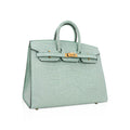 Limited Edition Birkin 20 Sellier Bag Vert D’Eau Matte Alligator with Gold Hardware